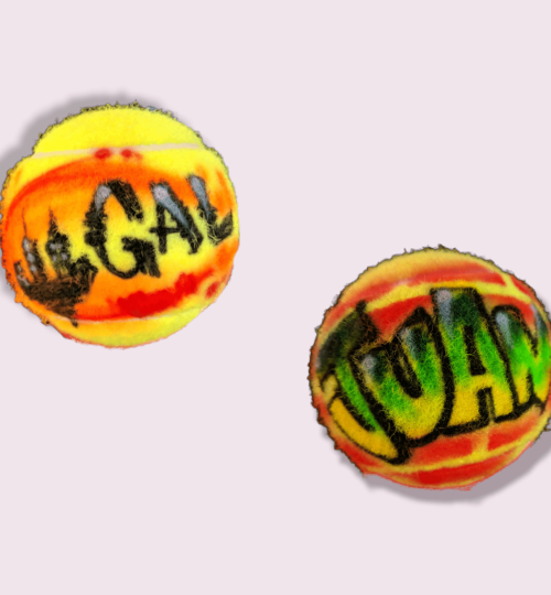 Painted Tennis Balls